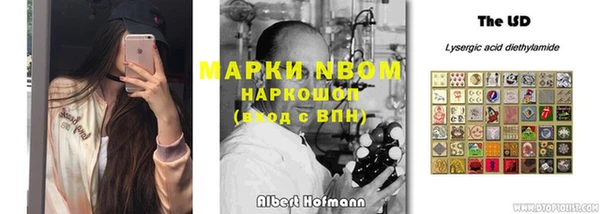 ПСИЛОЦИБИНОВЫЕ ГРИБЫ Волосово