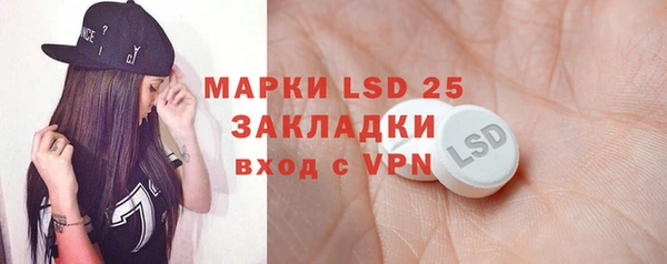 ПСИЛОЦИБИНОВЫЕ ГРИБЫ Волосово