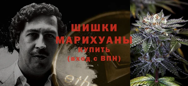 ПСИЛОЦИБИНОВЫЕ ГРИБЫ Волосово