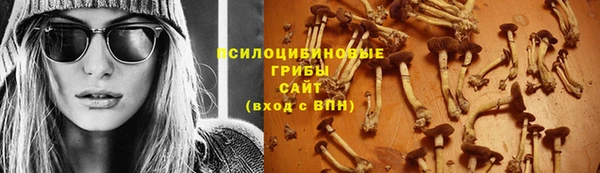 ПСИЛОЦИБИНОВЫЕ ГРИБЫ Волосово