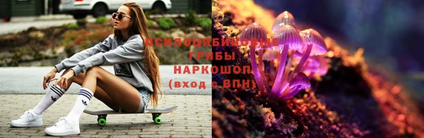 ПСИЛОЦИБИНОВЫЕ ГРИБЫ Волосово